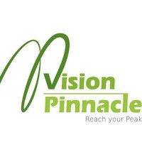 vision pinnacle