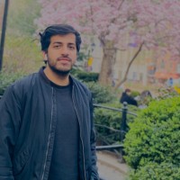 Abdul Mateen Idrees
