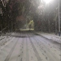 冯振凯