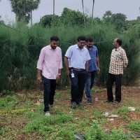 Ganesh Babu Pesingi