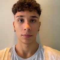 Pedro Henrique Silva Fernandes