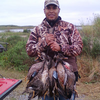 Michael Semien
