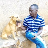 Pets Rescue