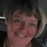 Carin A Hedqvist