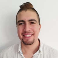 Francisco Mena Toro