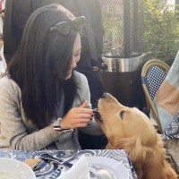 Ivy Zhan