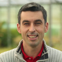 yves-marie stervinou