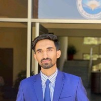 Raja Farasat Ali
