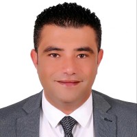 Mohamed Amaly Ahmed