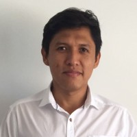 Luis Briceño León