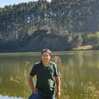 Bráulio Pizziôlo Furtado Campos