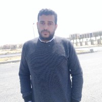 Mahmoud Abdelhaleem