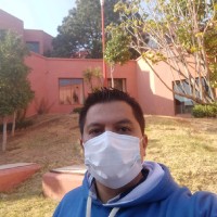 Ing. Marco Ramírez Silva