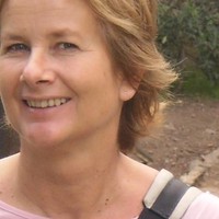pam schapendonk