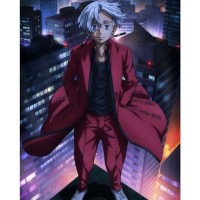 Anime Slayer