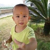张怡洁