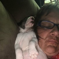 Karen Crowder