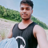 Bittu Goswami