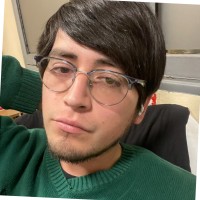 Cristopher Lobos Herrera