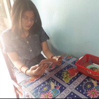 Lan Anh Phung