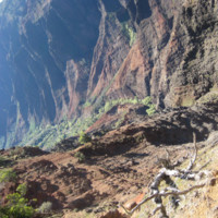 Nidal Dhailieh