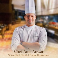 Amr Anwar