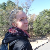 Romy van Eck