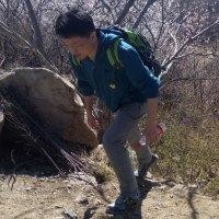 靳文杰