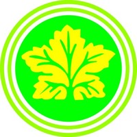 Bonoushodhi International