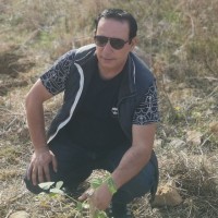 Amine Aouali