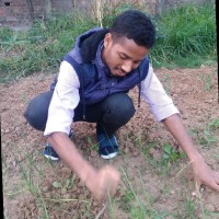 BHARAT TUDU