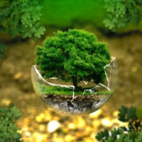 Tư vấn môi trường Bình Minh Xanh