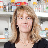 Sue Biggins