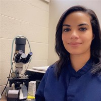 Vivian Tamara Suarez, Md