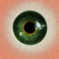 Sathiyaraj Marimuthu