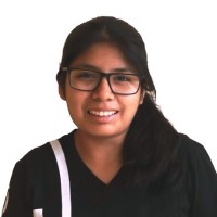 Diana Elizabeth Mogollon Aimara