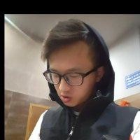 苏炳辉