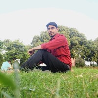 Narayan Kumar