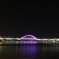 黎金林
