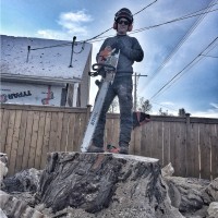 Austin Leicht