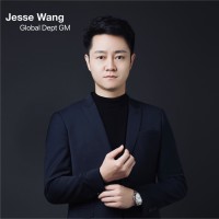 Jesse Wang Wang