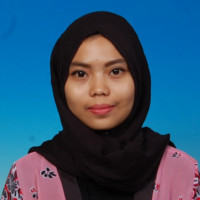 nur farihin
