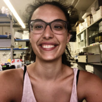 Mireia Casanovas Ferrero