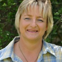 Wendy Sears