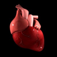 Cardio Metabolic Congress