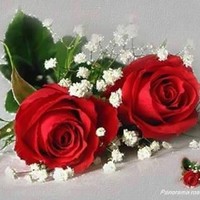 WARDA ISMAIL