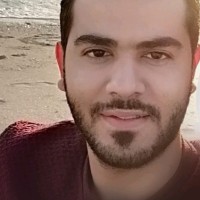 Abdelrahman F Thabet