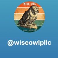 Wise Owl