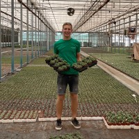 Thijs Schoenmaker