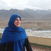 Neda Haji Gholamreza